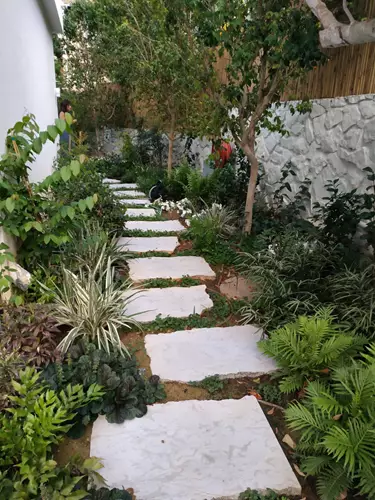 הקמת גינה ויצירת שביל אבני מדרך